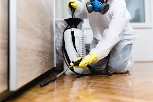 Best Pest Control Near Me  in Lford, MI