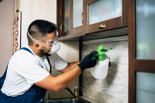 Best Ant Control Services  in Lford, MI