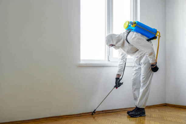 Best Insect Control  in Lford, MI
