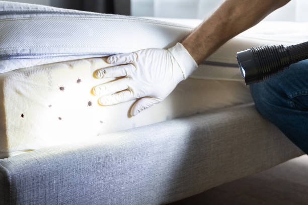 Best Best Pest Control Companies  in Lford, MI