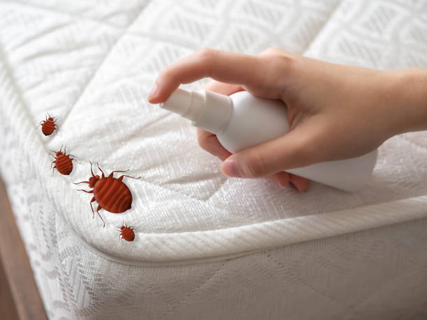 Best Pest Removal Services  in Lford, MI