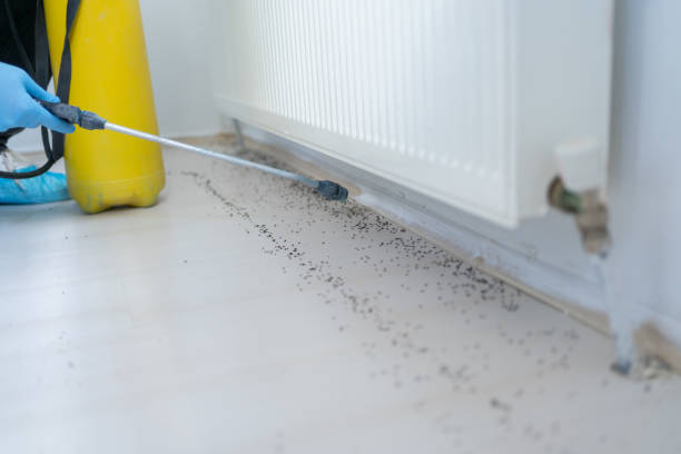 Best Insect Control  in Lford, MI