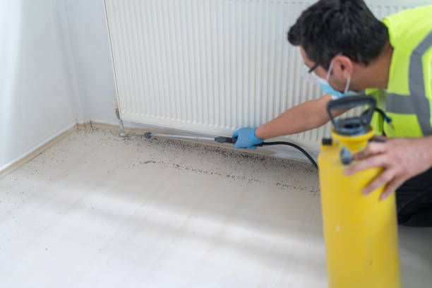 Best Affordable Pest Control Services  in Lford, MI